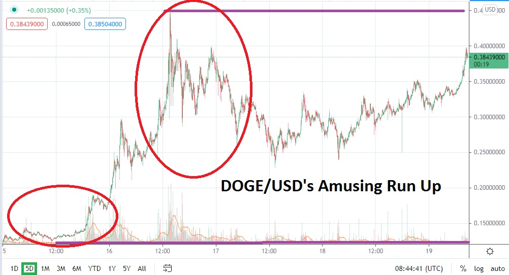 Orders dogecoin usd images