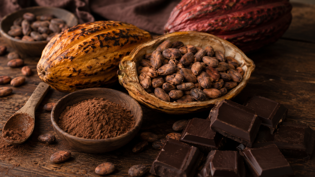 Cacao Segundo Semestre 2026